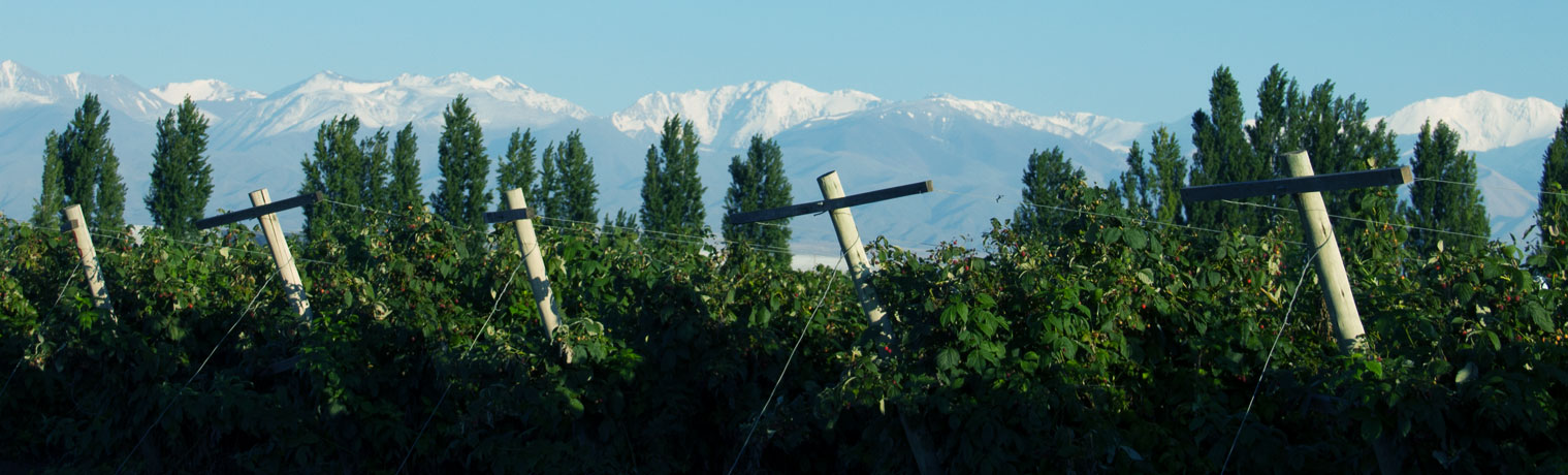 Finca La Linda
