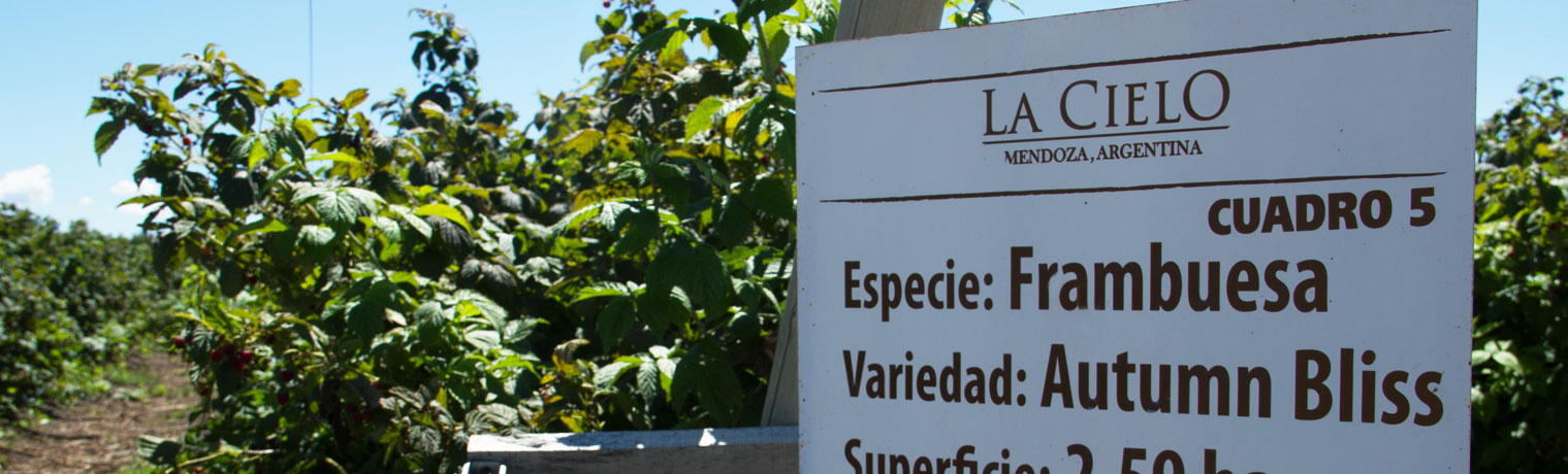 Finca La Linda