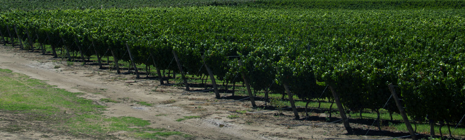 Finca La Linda