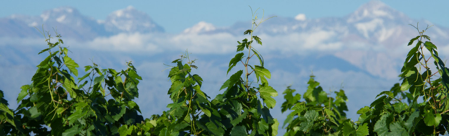 Finca La Linda