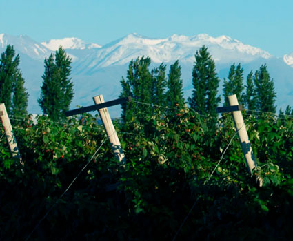 Finca La Linda