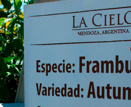 Finca La Linda